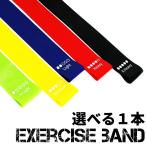ゴムバンド トレーニング 筋トレ エクササイズバンド トレーニングバンド トレーニングチューブ 選べる強度 1本 ダイエット 筋トレ BREAKIST