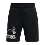 【50%OFF】公式 アンダーアーマー UNDER ARMOUR UA UAテック ロゴ ショーツ (トレーニング/KIDS ) 1383333 ハーフパンツ ショートパンツ 半ズボン