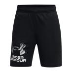 公式 アンダーアーマー UNDER ARMOUR UA UAテック ロゴ ショーツ（トレーニング／KIDS） 1383333