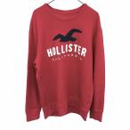 ホリスター HOLLISTER カットソー 裏毛 ロゴ刺繍 鳥のパッチ カモメ 長袖 丸首 プルオーバー 綿×ポリ S レッド 赤×紺×白 メンズ