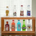 【1点販売】【選べる9種類】 ミニチュア カクテル＆リキュール ボトル風オブジェ コレクション ミニボトル フィギュア 背景小物 透明 樹脂 レジン