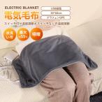 電気毛布 ホットマット ホットカーペット 加熱パッド ホットパッド 電気ヒーター 電気カーペット 電気マット 水洗う USB給電 速熱 電気座布団