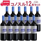 Yahoo! Yahoo!ショッピング(ヤフー ショッピング)【お得な12本セット】コノスル　マルベック　ビシクレタ　レゼルバ/ヴィーニャ・コノスル 赤 750ml Vina Cono Sur[Cono Sur Malbec Bicicleta Reserva] チリ …