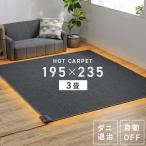 ホットカーペット 3畳 本体 電気カーペット TEKNOS テクノス 195×235cm 節電 冬 電気マット ホットマット ダニ退治 即暖 コンパクト 折りたたみ おすすめ