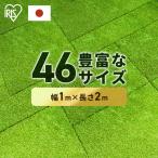 人工芝 1m×2m ロール 幅1m アイリスオーヤマ 芝生 セミオーダー 継ぎ目なし 国産 アイリス 人工芝ピン リアル人工芝 庭 ガーデニング 犬 DIY
