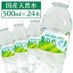 水 500ml 24本 ミネラル