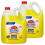 2個セット バスマジックリン 4.5kg (D)