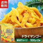 ドライマンゴー 不揃い タイ産 500g×