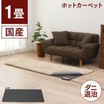 ホットカーペット 電気カーペット 1畳 カーペット おしゃれ おすすめ 足元 本体 電気マット WHC-104 (D)