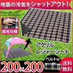 レジャーシート　アウトドア　厚手　大きい　200×200　キャンプ　ノースイーグル　持ち運び　簡単　アクリル行楽シート　 チェック NE300　かわいい　おしゃれ