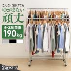 ハンガーラック ラック 収納 パイプハンガー 2連 耐荷重190kg CW4100-T1 コートハンガー 高耐荷重 アイリスオーヤマ