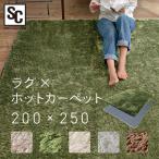  электроковер 3 татами ковер комплект ковер с длинным ворсом модный Северная Европа зима коврик ковровое покрытие 200×250cm теплый ..TWA-3000BI|SGR-2025