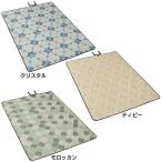 ピクニックマット 200×145 2000038940 コールマン (D)(B)