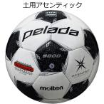 サッカーボール 5号球 モルテン molten ペレーダ pelada 5000 土用 f5l5001