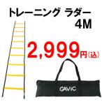 ガビック スピードラダー 4M