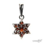 Yahoo! Yahoo!ショッピング(ヤフー ショッピング)【30％OFF】　【ボヘミアン・ガーネット】　星ペンダント　（シルバー925使用） ★ BOHEMIAN GARNET - Pendant - Ag 925 / Rh ★