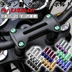 Z900RS �J�t�F SE CAFE �n���h���|�X�g �N�����v �`�^���{���g 4�{�Z�b�g kawasaki �J���T�L �g�b�v�u���b�W �O�� �J�X�^���p�[�c