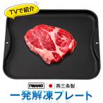 ＜UHB北海道文化放送「みんテレ」ラクカジ で紹介！＞【 IWANO 】 一発解凍プレート 解凍皿 日本製 イワノ 解凍プレート 解凍時間短縮 あら熱取り