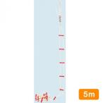 .tsu стрела промышленность safety трос 5m 12093