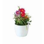  поддельный план to82143