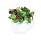  зеленый питчер PS maru Berry 163237