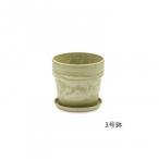  urban растения pot шалфей 81101