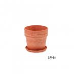  urban растения pot Carrot 81102