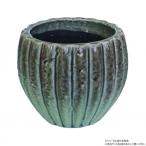 . рисовое поле магазин промышленность серый zdo pot motarudo голубой 1509