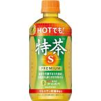 ショッピング特茶 トクホサントリー ホット 伊右衛門特茶 500ml×24本