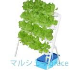 水耕栽培キットすいこう栽培キット野...