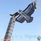 2 пункт глаз. 25%OFF кайт .. кайт Eagle кайт ястреб мельчайший способ .... кайт легкий кайт ястреб птица .. кайт птица .. сельское хозяйство произведение предмет защита сопутствующие товары двор. оборудование орнамент .... удаление защита от птиц защита от животных меры для 1.5m