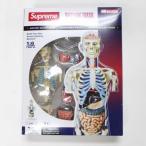 Supreme シュプリーム 18AW Male Anatomy Model Torso 人体模型