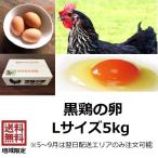 * яйцо чёрный курица. яйцо L размер 5kg( примерно 70~75 шт ) чёрный курица Tama . куриное яйцо красный шар сырой яйцо сырой Tama . яйцо .. рис подарок на Bon Festival подарок по случаю конца года 
