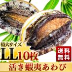 ......LL(120/130g)10 листов входит BBQ.! День отца * подарок на Bon Festival * подарок по случаю конца года подарок тоже оптимальный бесплатная доставка!