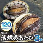 ......(120/130g размер ) 3 листов sashimi для .. для морепродукты подарок подарок на Bon Festival подарок по случаю конца года высококлассный .... морское ушко BBQ. местного производства ..[.. Tama . доставка!] бесплатная доставка 