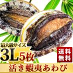 ......3L(140/160g)5 листов BBQ.! подарок на Bon Festival * подарок по случаю конца года подарок тоже оптимальный бесплатная доставка!