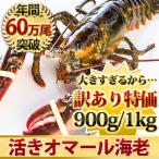 天然 活JAMBOオマール海老 900g/1kg BBQに!お中元・お歳暮ギフトにも最適 送料無料