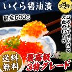 母の日 2025 いくら 醤油漬け 500g 国産 最高級3特グレード 新物 大粒 イクラ 鮭 プレゼント ギフト