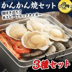 カンカン焼き ホタテ エビ 海鮮 バーベキュー セット ガンガン焼き 冷凍 約4−5人前 BBQ 海鮮セット