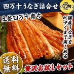 ショッピングうなぎ 蒲焼き 国内産 送料無料 母の日 2024 うなぎ 蒲焼き 国産最高級 四万十うなぎ お取り寄せグルメ 詰め合わせ プレゼント ギフト  鰻