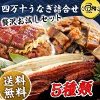 ショッピングうなぎ 蒲焼き 国内産 送料無料 母の日 2024 うなぎ 国産 四万十ウナギ 詰め合わせ ちまき入り 6種類セット プレゼント ギフト  贈答