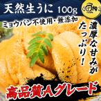 生うに チリ産 ウニ 最高級Aグレード 100g 刺身用 ミョウバン不使用 無添加 冷凍