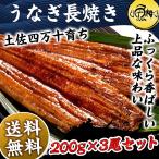 ショッピングうなぎ 国産 うなぎ 国産 蒲焼き お取り寄せグルメ 高知県四万十産うなぎ 超特大サイズ 長焼き 約200g×3尾 最高級 鰻