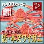 活ズワイガニ姿 新潟・佐渡産「活 本ズワイガニ」（生 本ずわい蟹）400g以上 2杯 送料無料