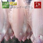 新潟産 旨味凝縮・ヤナギカレイ 一夜干し 一尾150〜200g 5尾入(自家製手造り 柳カレイ干物)