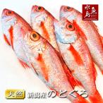 のどぐろ 新潟・日本海産 ノドグロ 250g以上・5尾(生冷凍)