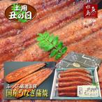 ショッピング父の日 うなぎ 父の日ギフト 土用丑の日 国産 鰻うなぎ蒲焼き ふっくら厳選素材 約30cm超特大 約200g×5尾 メガ盛り1kg 送料無料