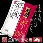 米 5kg 魚沼産新之助 令和5年産 白米 送料無料（北海道・九州・沖縄は除く）離島は発送不可