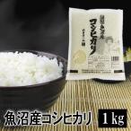 米 1kg 魚沼産コシヒカ
