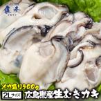 広島産 剥き牡蠣500g（15個前後) 大粒